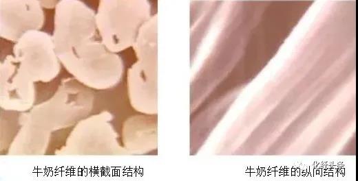 1610497199547080242.jpg 1610497199547080242.jpg