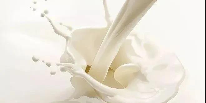 1610497251450029903.jpg 1610497251450029903.jpg