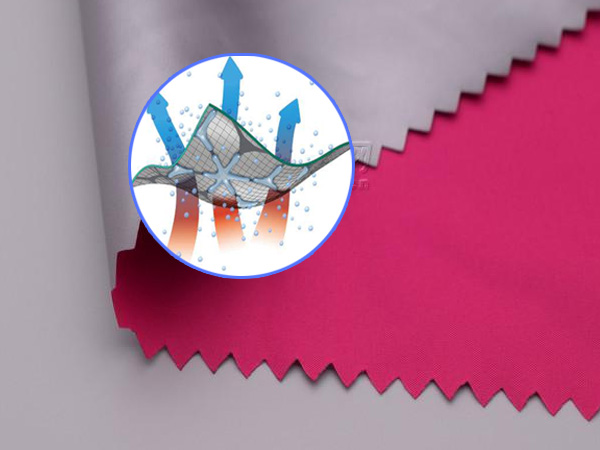 5ff71069b2afc.jpg 5ff71069b2afc.jpg